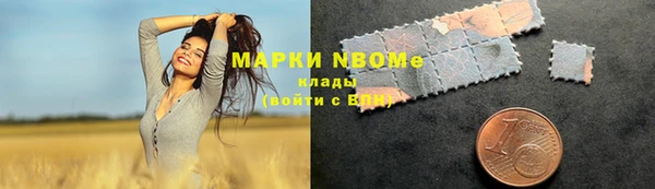 гашик Алексеевка