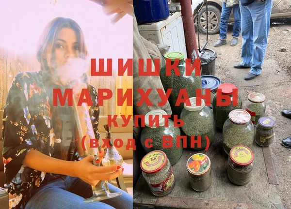ПСИЛОЦИБИНОВЫЕ ГРИБЫ Абаза