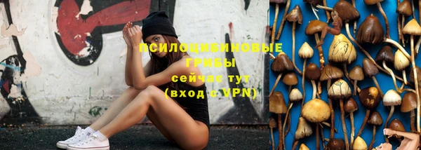 гашик Алексеевка
