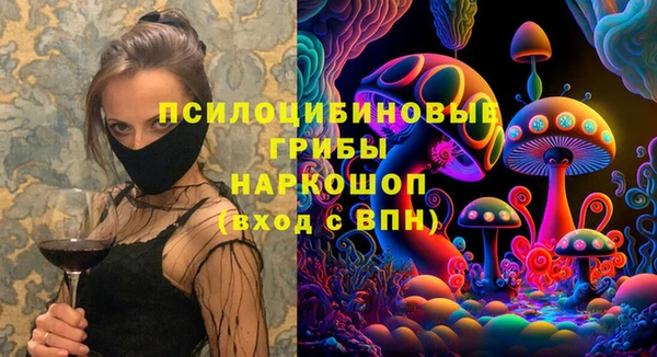дмт Алзамай